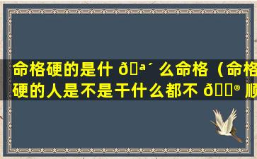 命格硬的是什 🪴 么命格（命格硬的人是不是干什么都不 💮 顺）